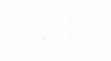 BMW Group Logo